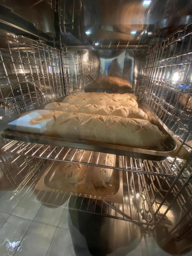 La Tenuta Di Trimalcione Pofi ภายนอก รูปภาพ