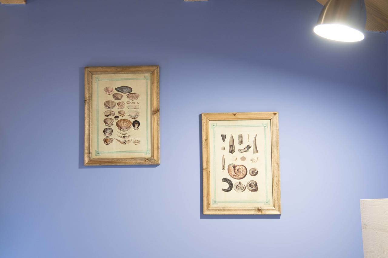 La Tenuta Di Trimalcione Pofi ภายนอก รูปภาพ
