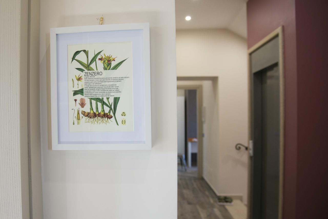 La Tenuta Di Trimalcione Pofi ภายนอก รูปภาพ